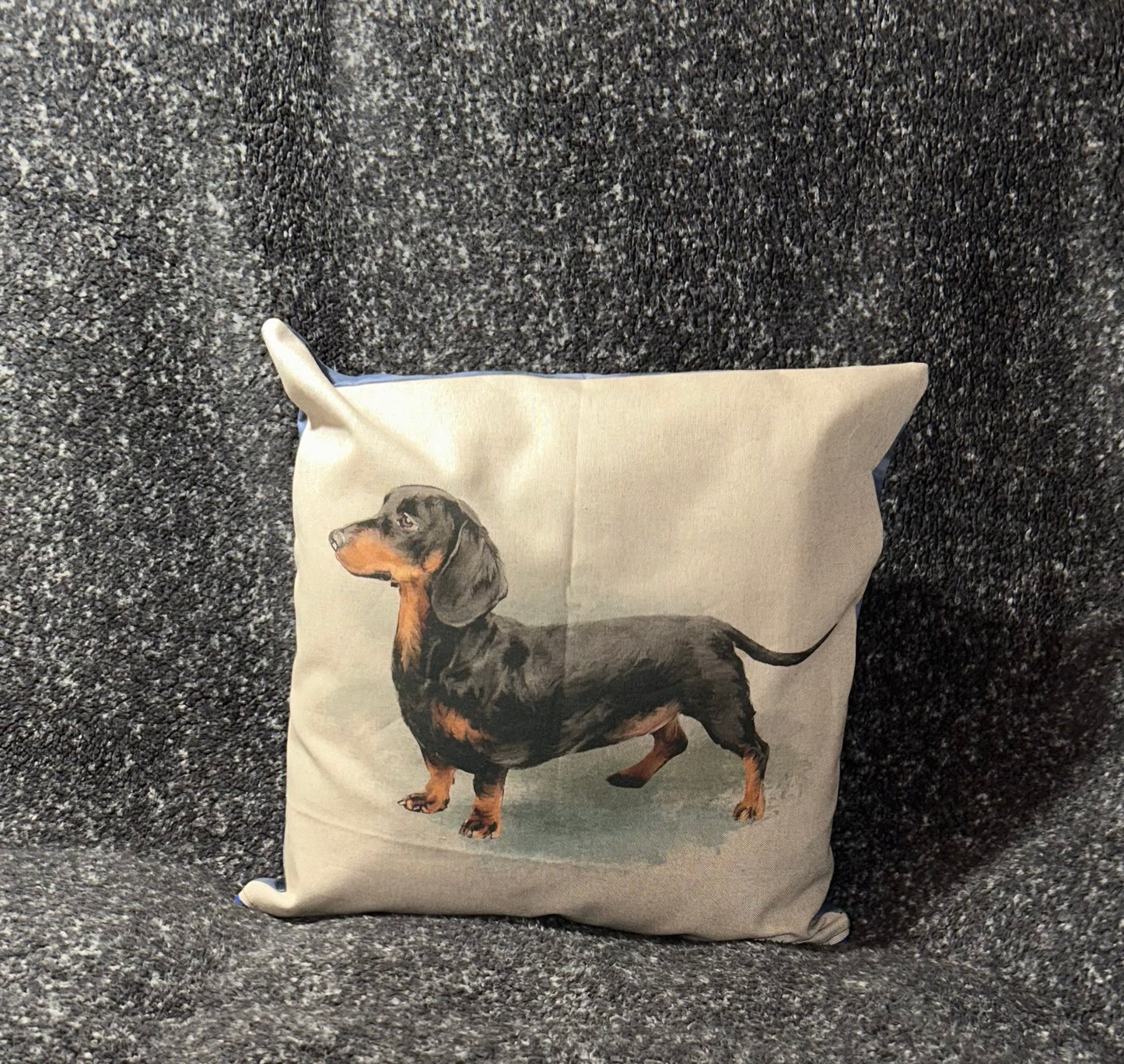 Dachshund Cushion
