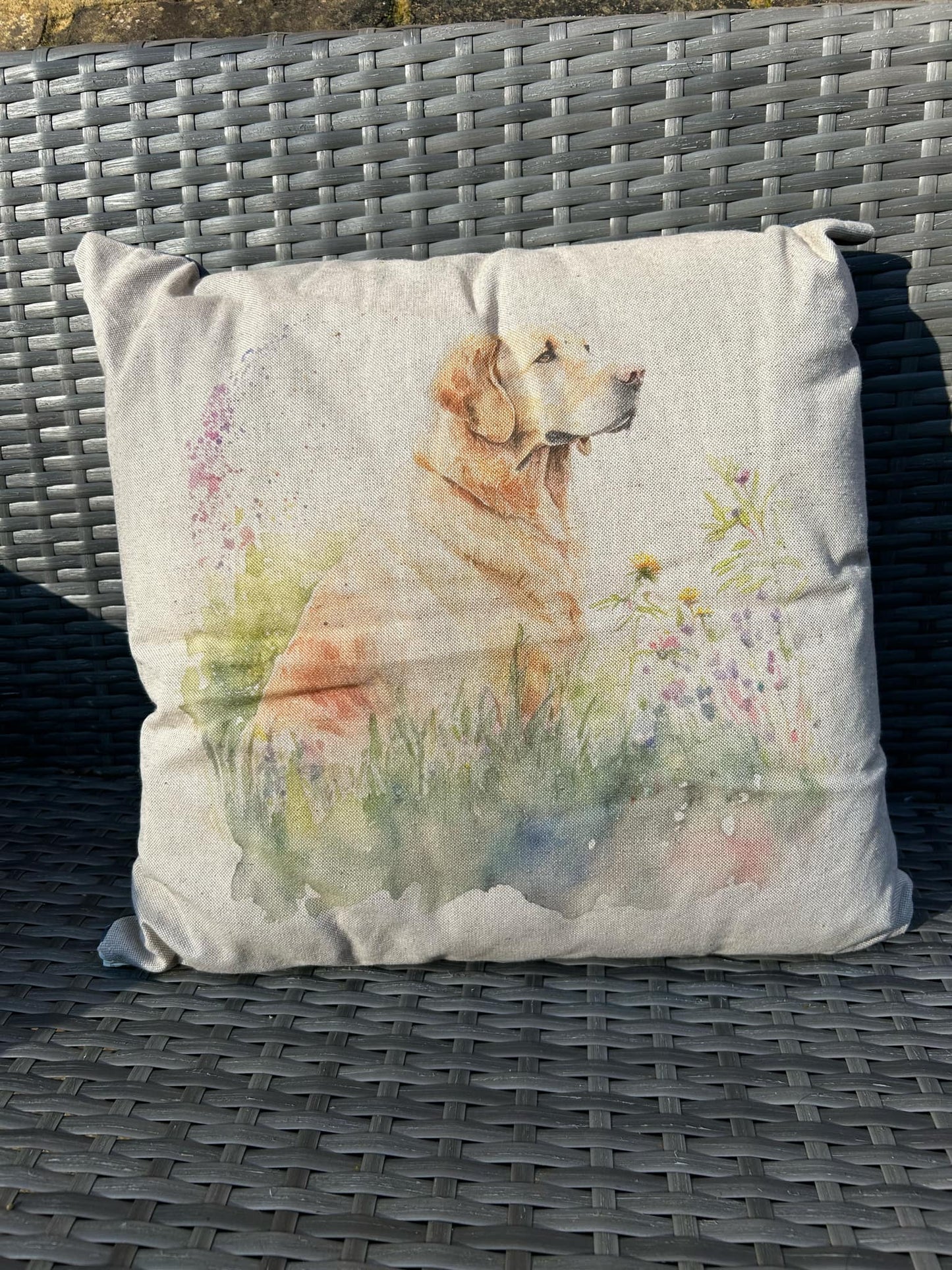 Golden Labrador Cushions 2 to choose from