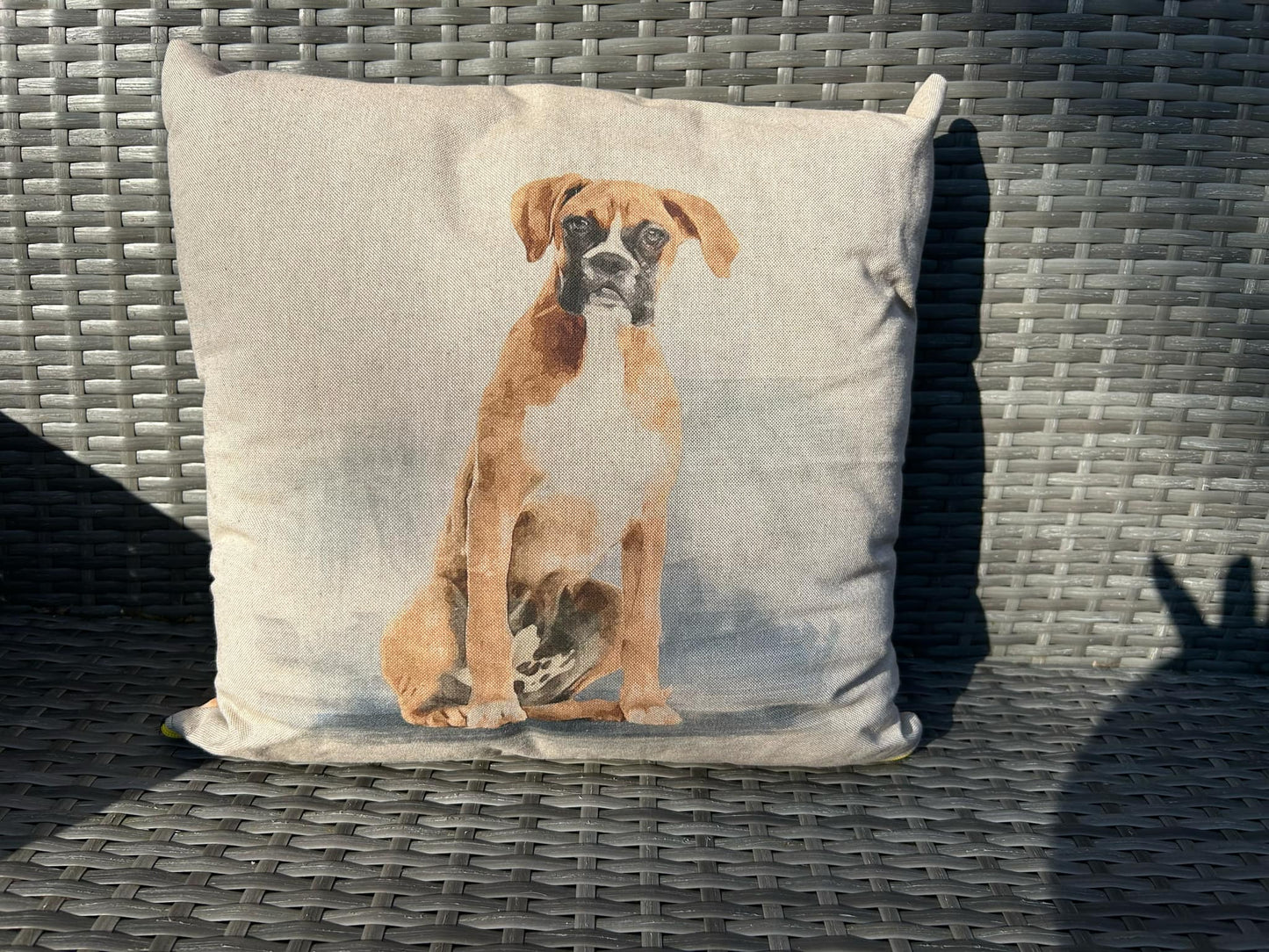 Boxer Cushion