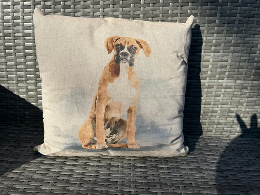 Boxer Cushion