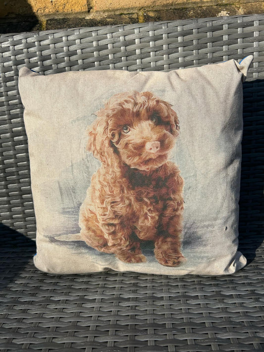 Chocolate Cockapoo Cushion