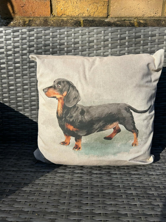 Dachshund Cushion