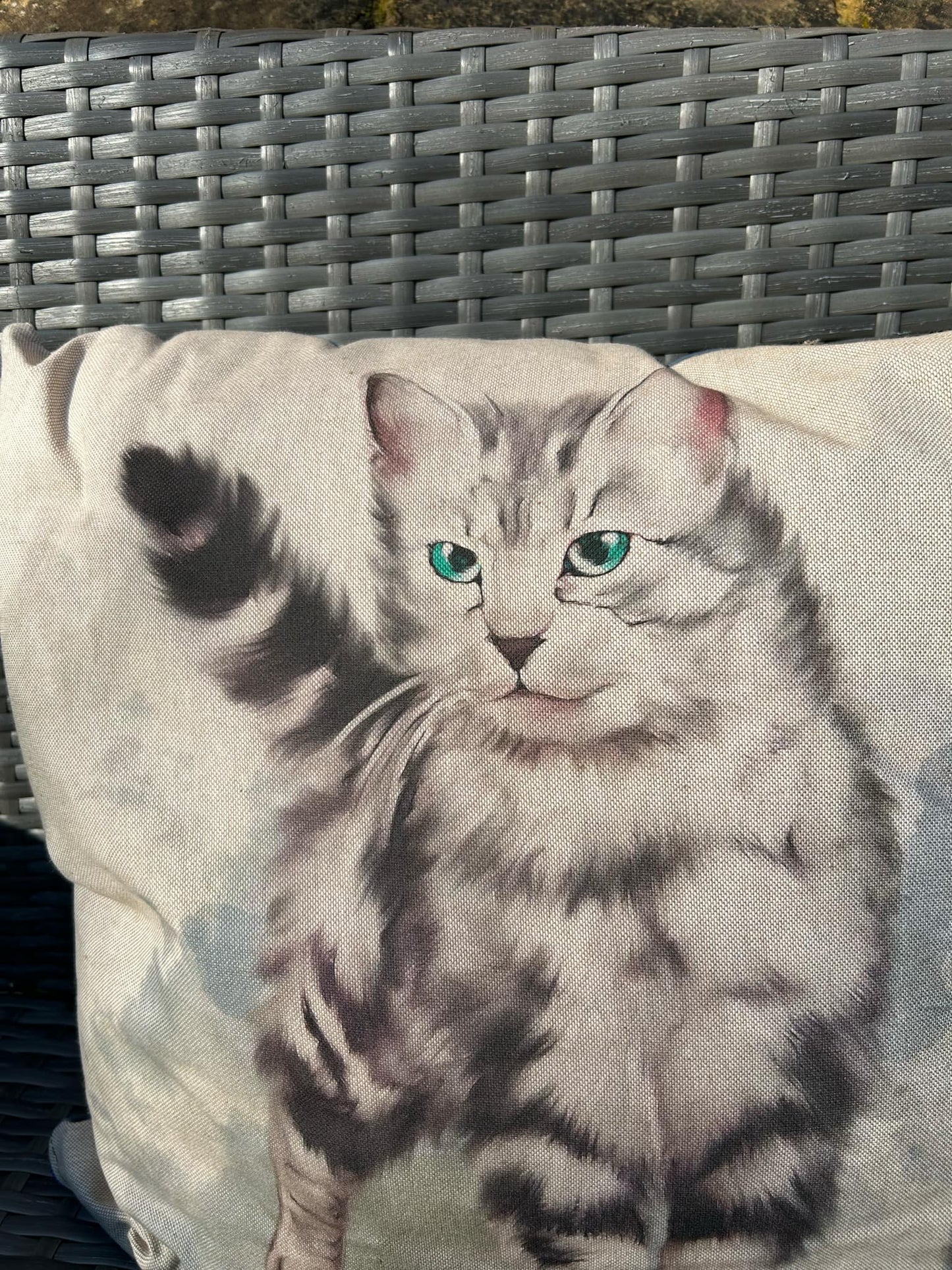 Grey Cat with Green Eyes