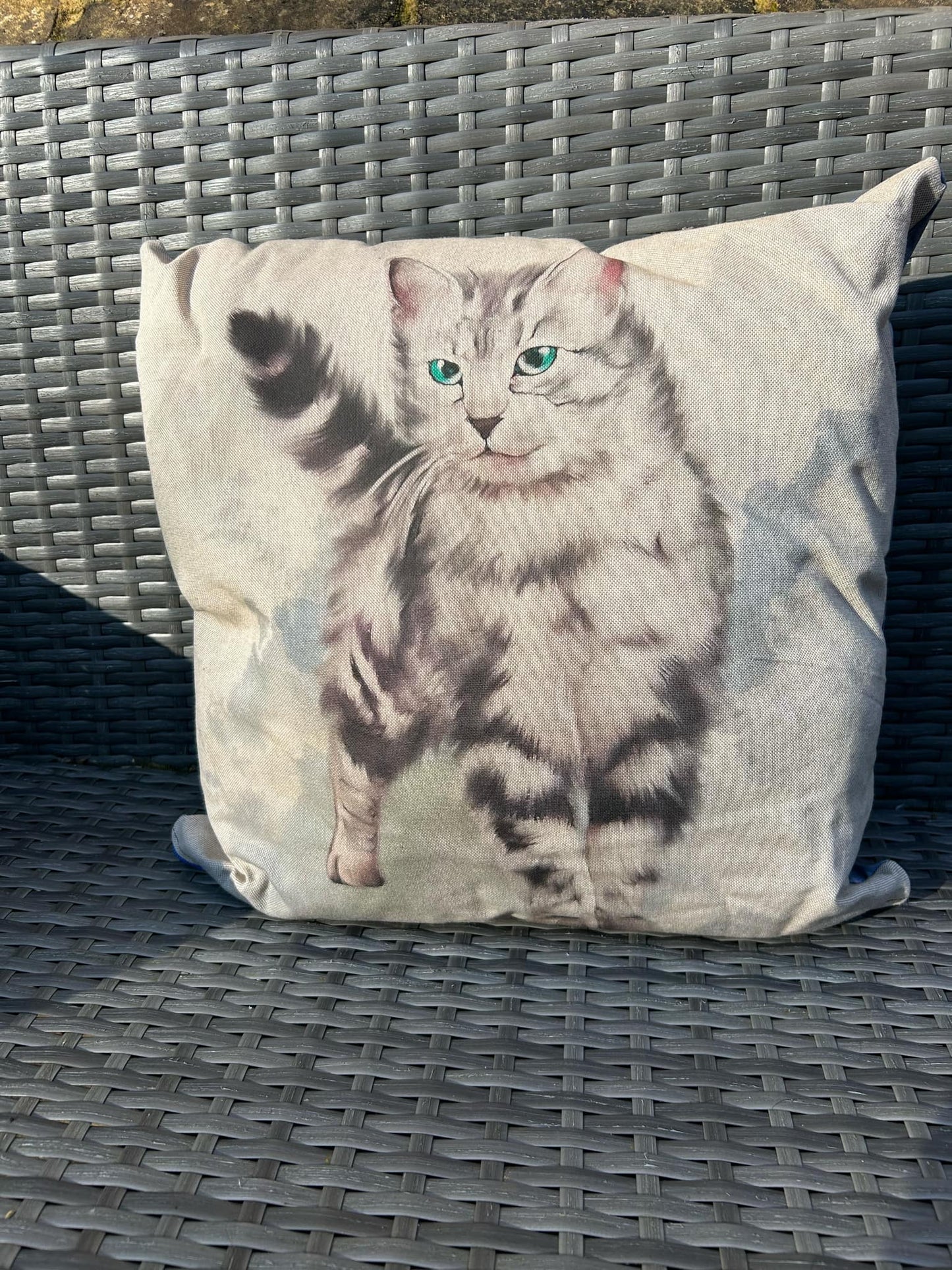 Grey Cat with Green Eyes