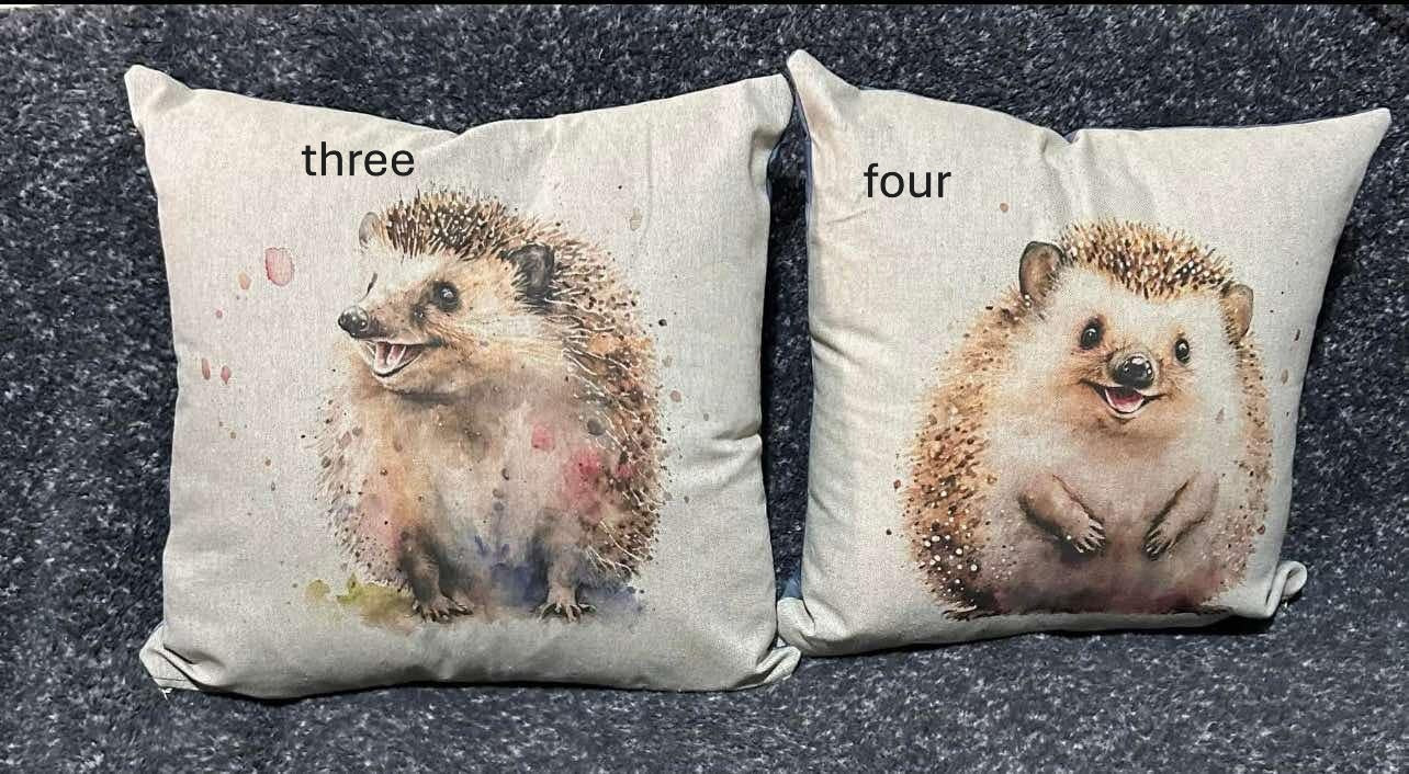 Hedgehogs Cushions with 6 to choose from