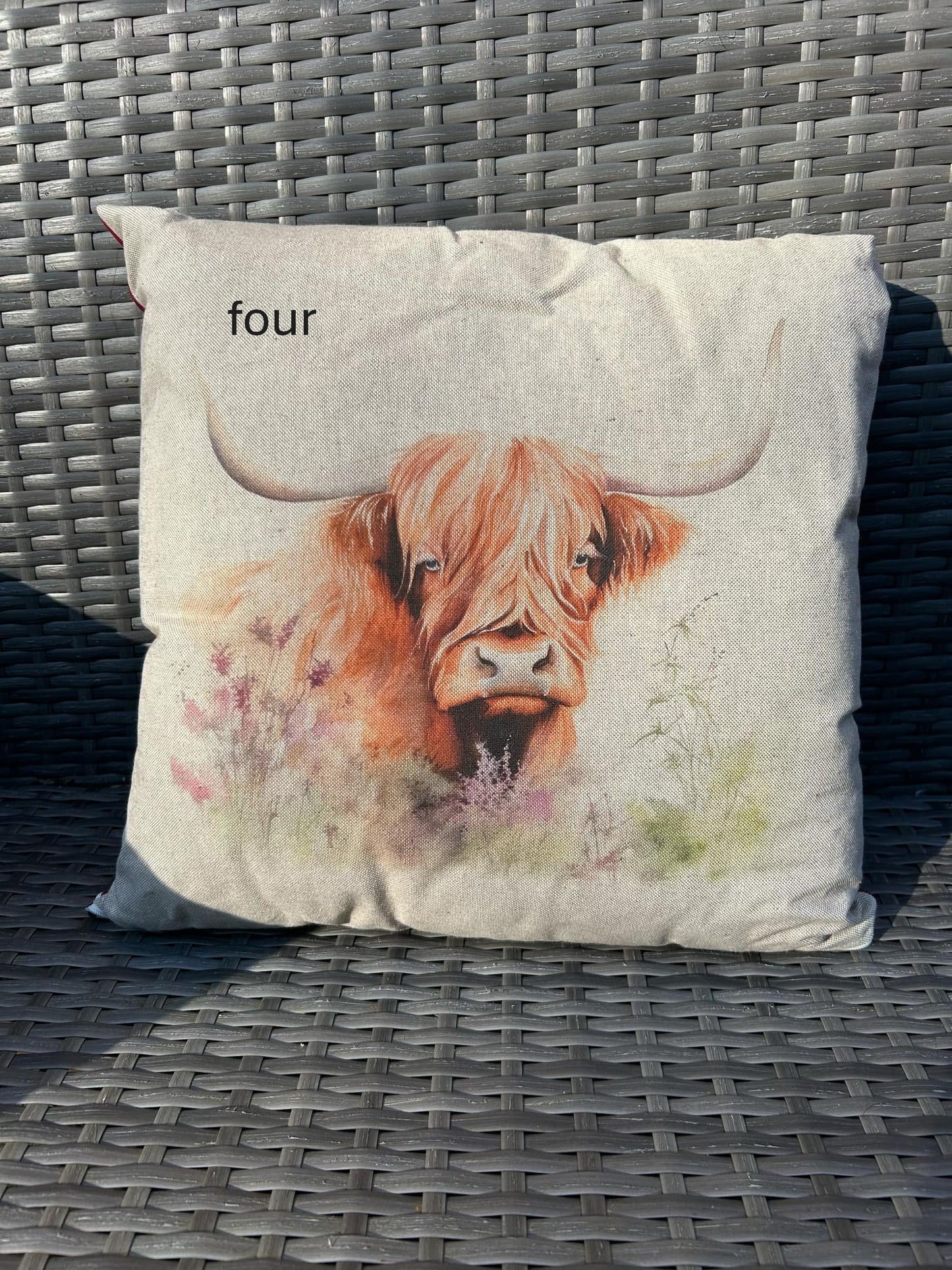 Highland Cow with 6 to choose from