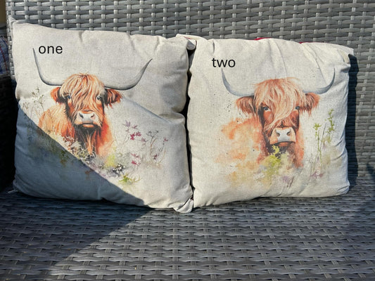 Highland Cow with 6 to choose from