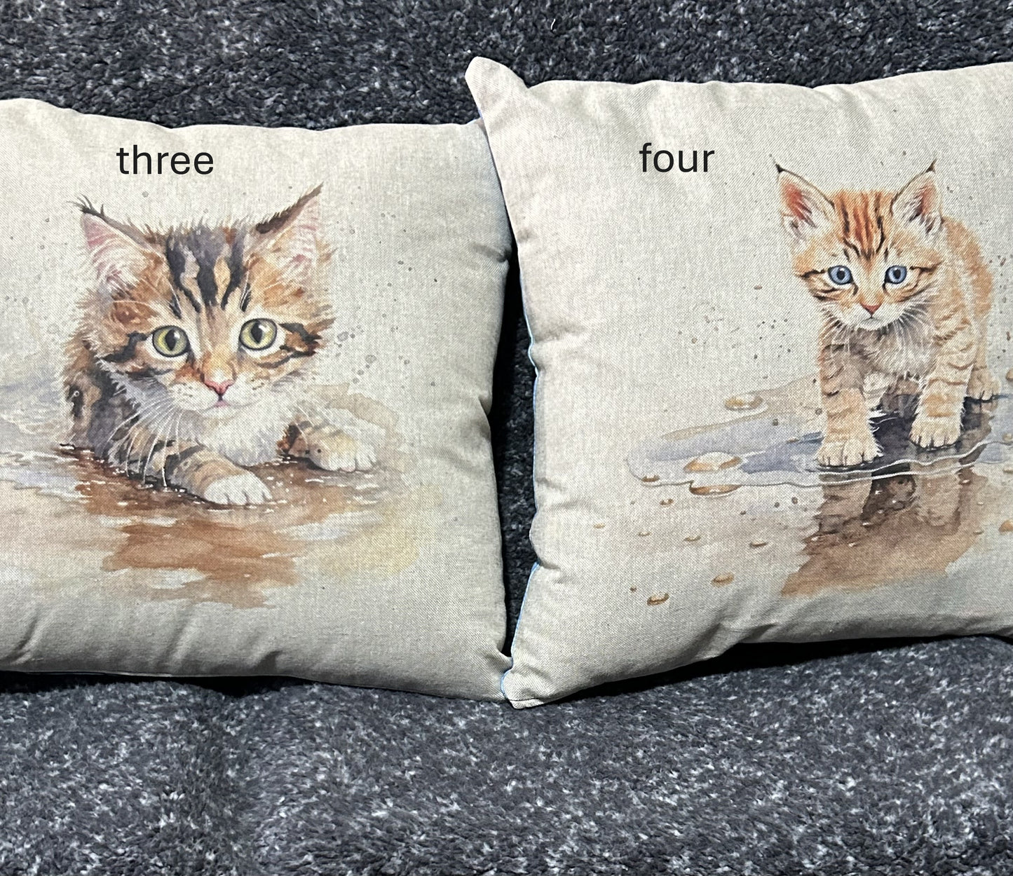 Kitten Cushion 6 to choose from