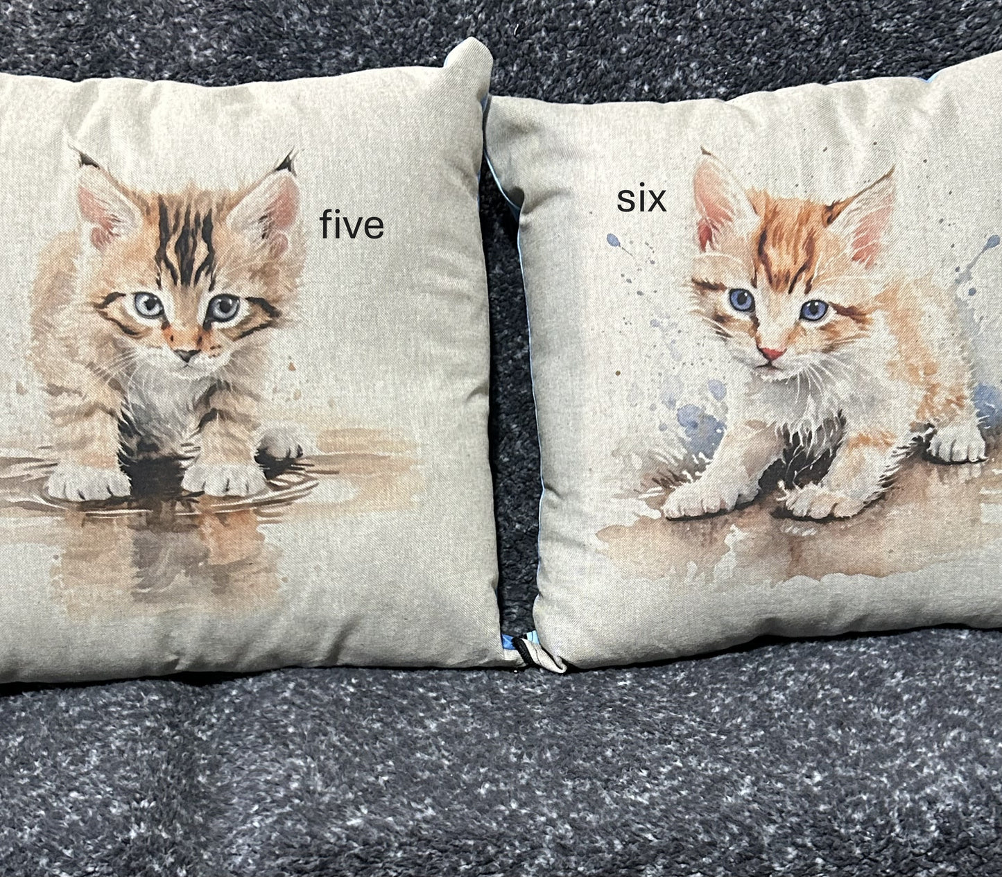 Kitten Cushion 6 to choose from