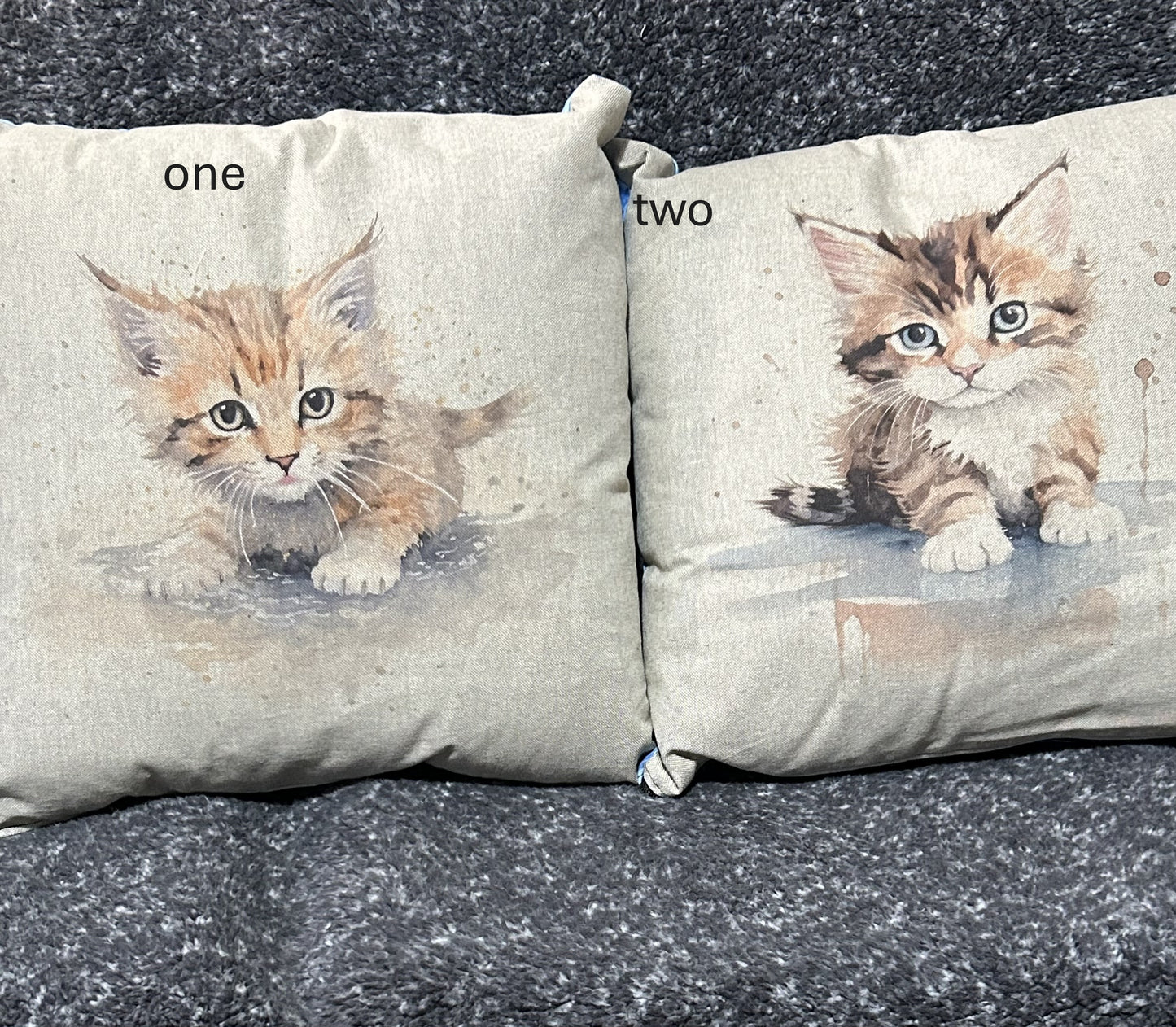 Kitten Cushion 6 to choose from
