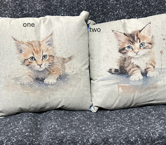 Kitten Cushion 6 to choose from