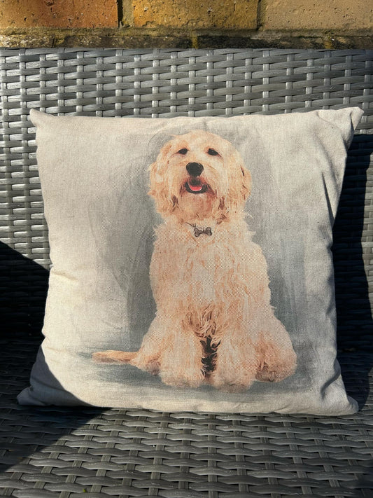 Golden Labradoodle Cushion