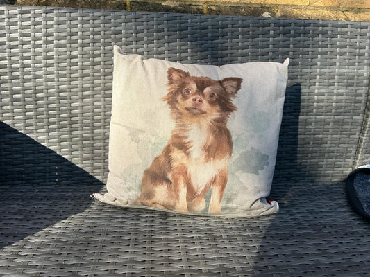 Chihuahua