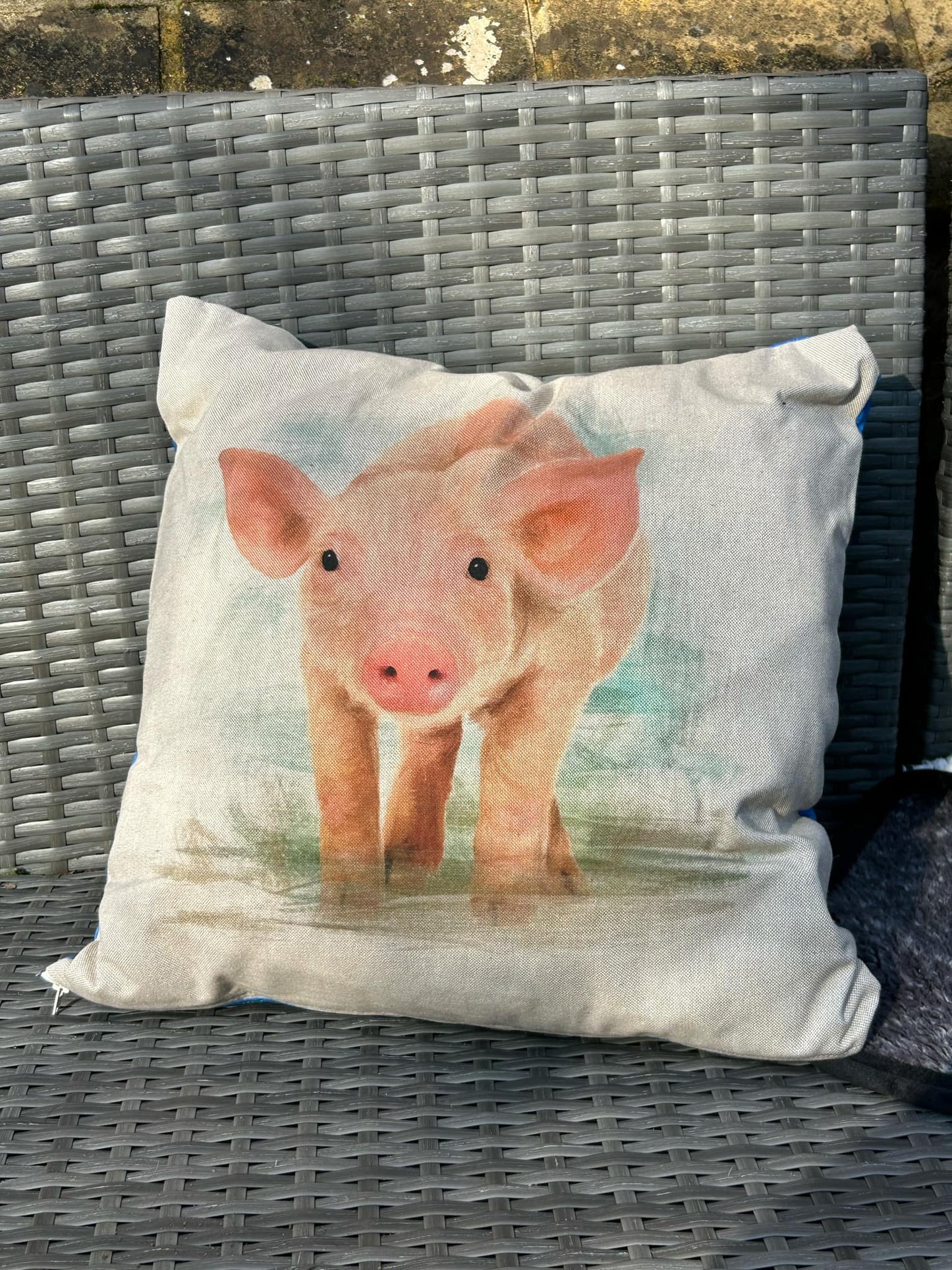 Pig Cushions