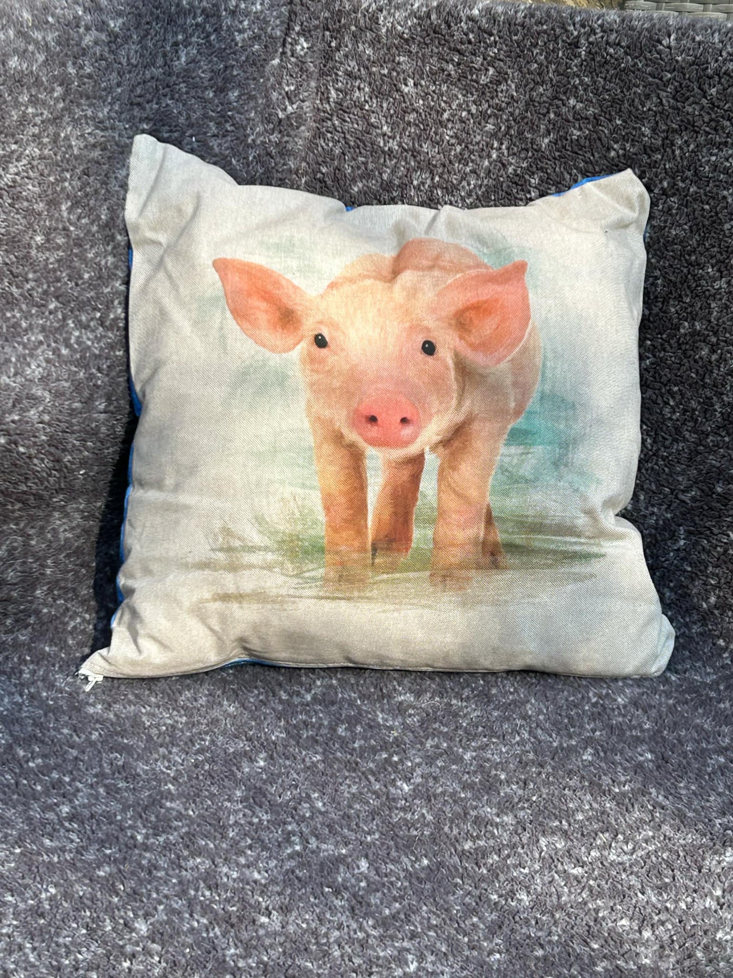 Pig Cushions