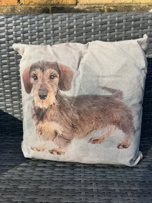 Terrier