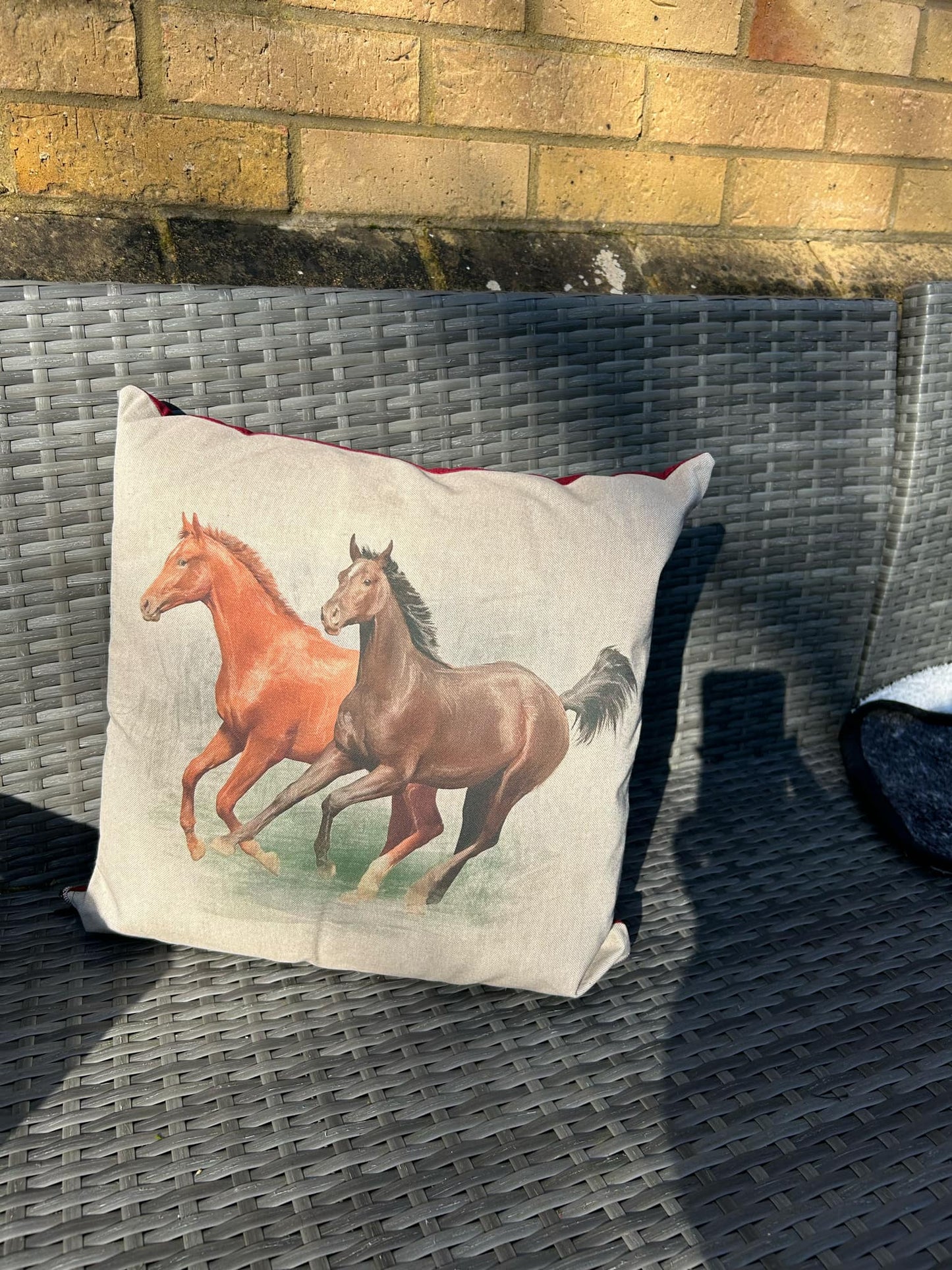 Horse Cushions