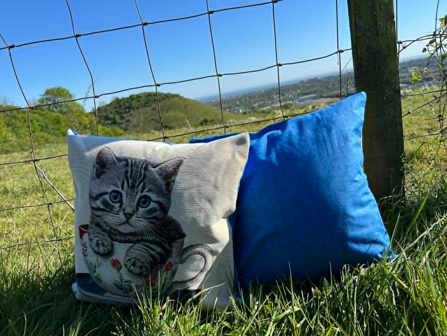 New Kitten In A Cup Tapestry Cushion