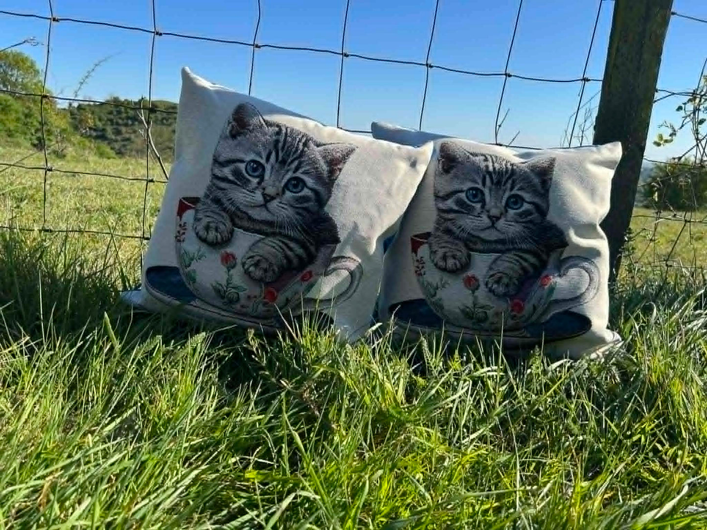 New Kitten In A Cup Tapestry Cushion