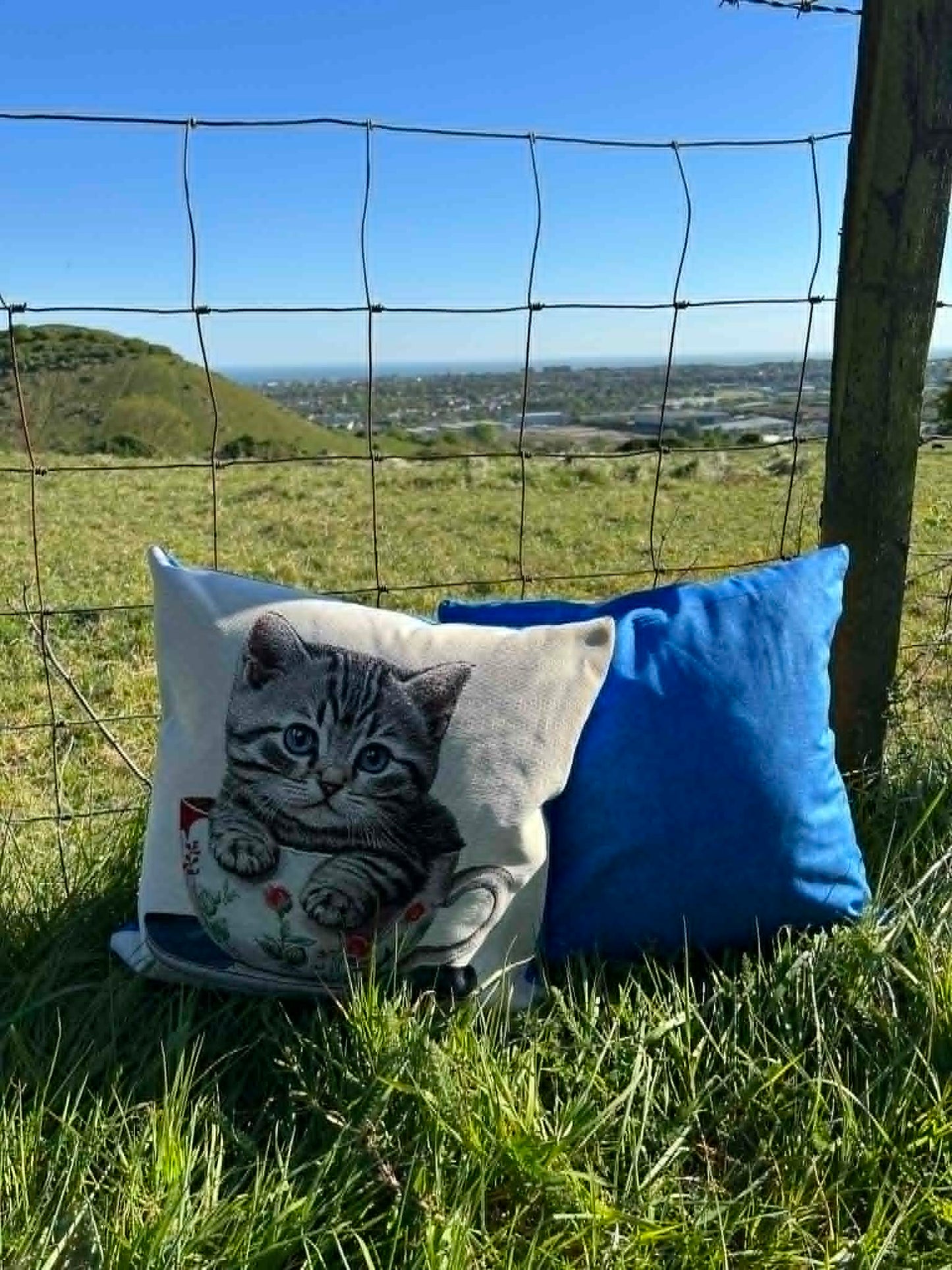 New Kitten In A Cup Tapestry Cushion