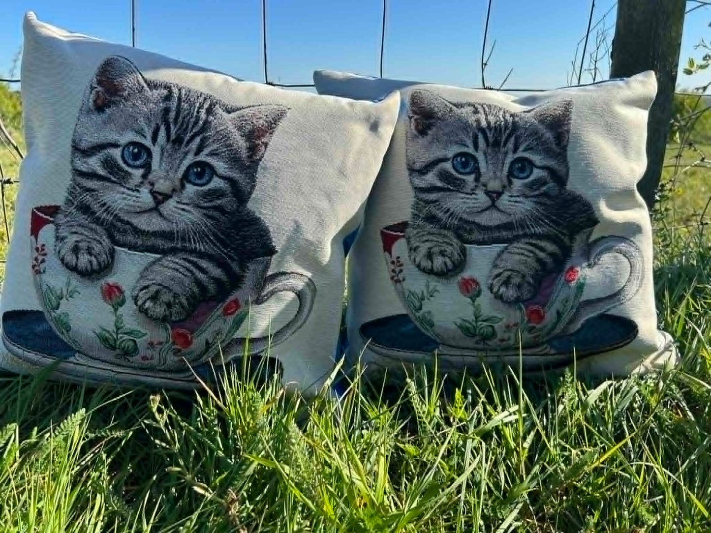 New Kitten In A Cup Tapestry Cushion
