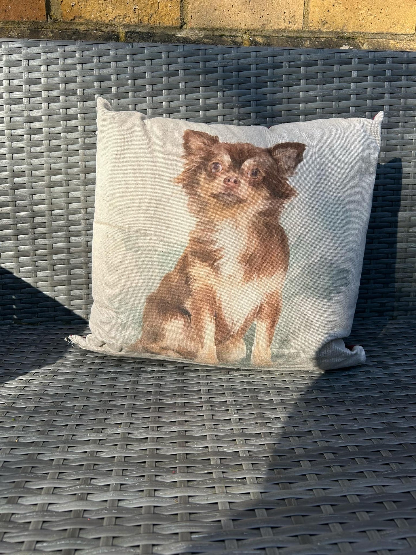 Chihuahua